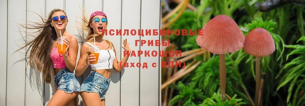 эйфоретик Алексеевка
