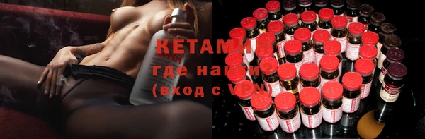 индика Алексин