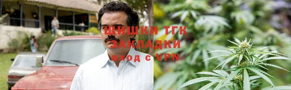 молекула духа Алзамай
