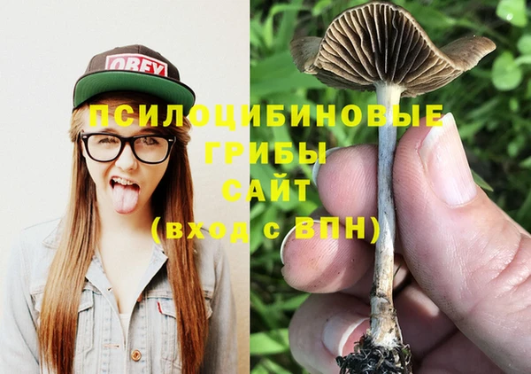 молекула духа Алзамай