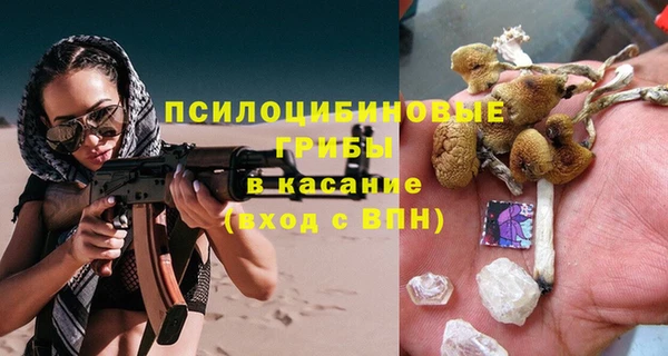 молекула духа Алзамай