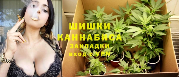 молекула духа Алзамай