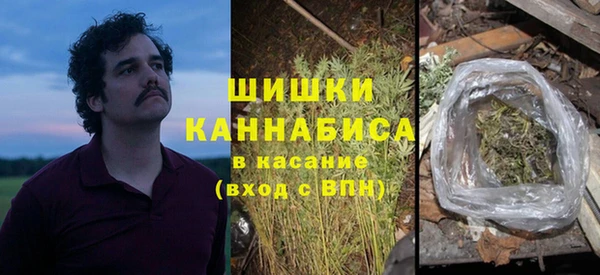 молекула духа Алзамай