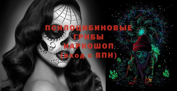 индика Алексин
