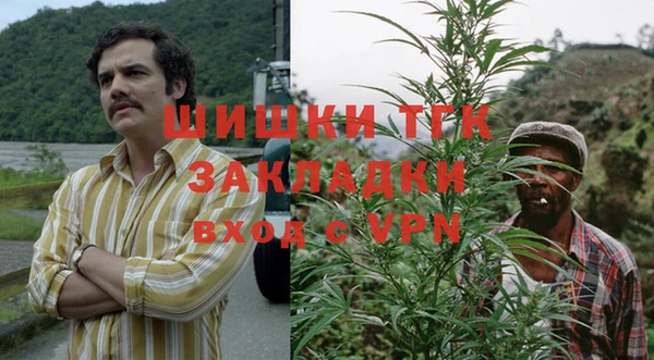 индика Алексин