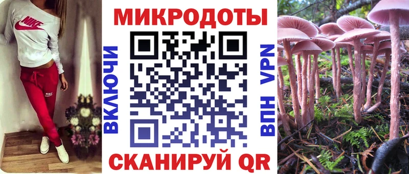 где купить наркотик  Боровск  Галлюциногенные грибы Psilocybine cubensis 